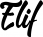 Preview: Elif - Schriftzug aus Eichenholz