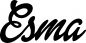Preview: Esma - Schriftzug aus Eichenholz
