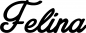 Preview: Felina - Schriftzug aus Eichenholz