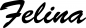 Preview: Felina - Schriftzug aus Eichenholz