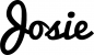 Preview: Josie - Schriftzug aus Eichenholz