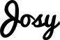 Preview: Josy - Schriftzug aus Eichenholz
