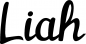 Preview: Liah - Schriftzug aus Eichenholz