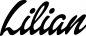 Preview: Lilian - Schriftzug aus Eichenholz