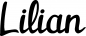 Preview: Lilian - Schriftzug aus Eichenholz