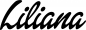 Preview: Liliana - Schriftzug aus Eichenholz