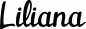 Preview: Liliana - Schriftzug aus Eichenholz