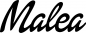 Preview: Malea - Schriftzug aus Eichenholz