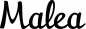 Preview: Malea - Schriftzug aus Eichenholz