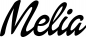 Preview: Melia - Schriftzug aus Eichenholz