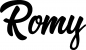 Preview: Romy - Schriftzug aus Eichenholz