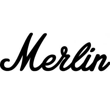 Merlin - Schriftzug aus Buchenholz