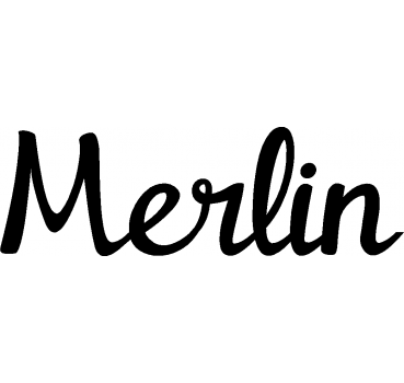 Merlin - Schriftzug aus Buchenholz