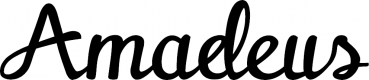 Amadeus - Schriftzug aus Eichenholz