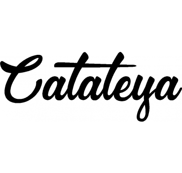 Cataleya - Schriftzug aus Birke-Sperrholz