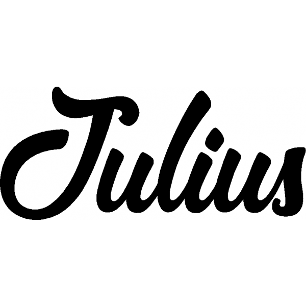 Julius - Schriftzug aus Birke-Sperrholz
