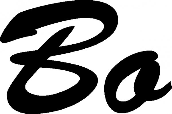 Bo - Schriftzug aus Eichenholz