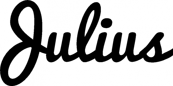 Julius - Schriftzug aus Eichenholz