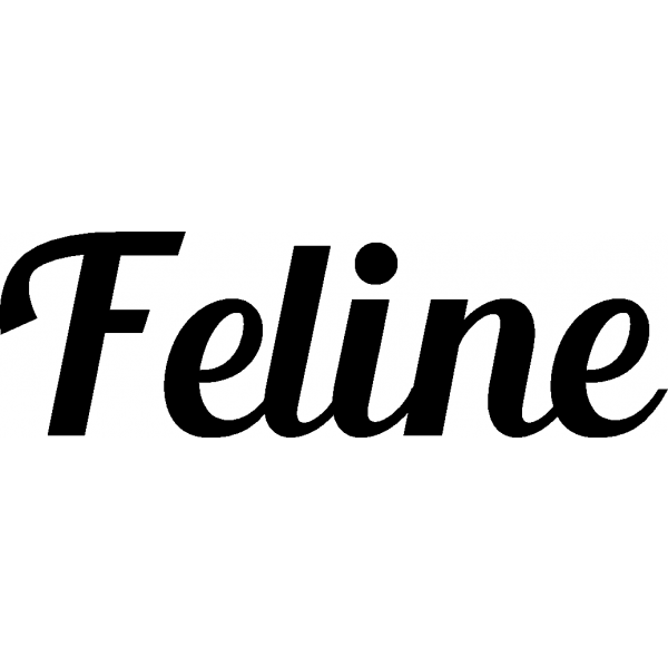 Feline - Schriftzug aus Birke-Sperrholz